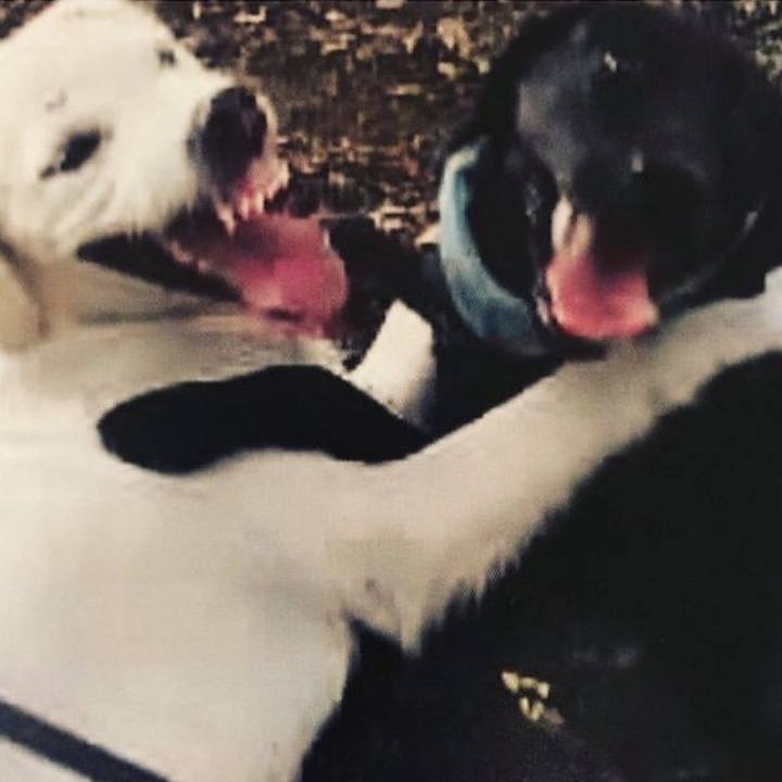 0ce4ee26 357b 402a 8019 f053d4700499 1708501916081