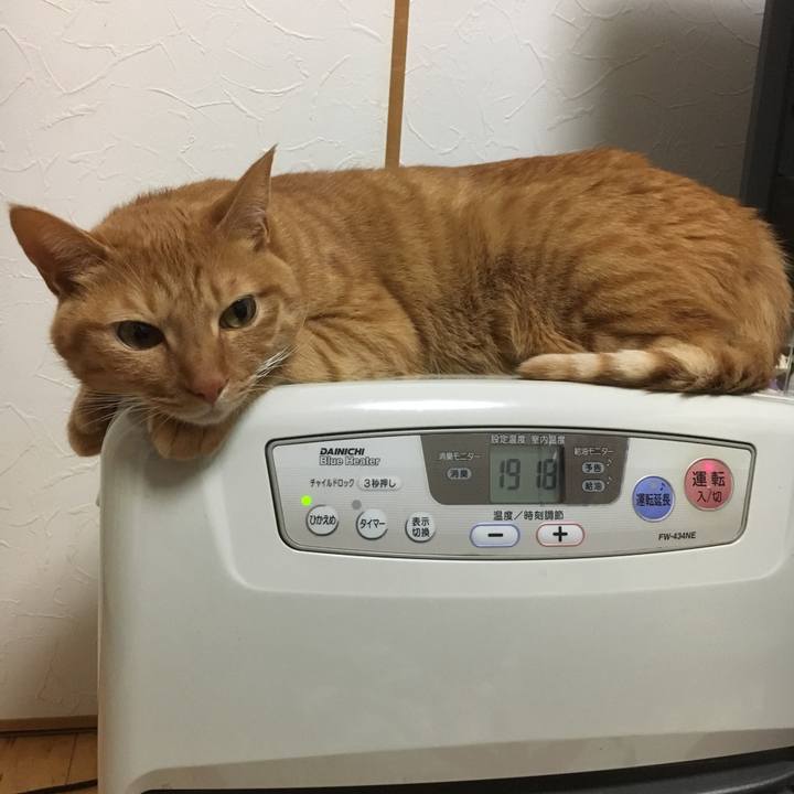 0ce4eee8 577f 4eac 968a 28ad63135c12 1513255631145