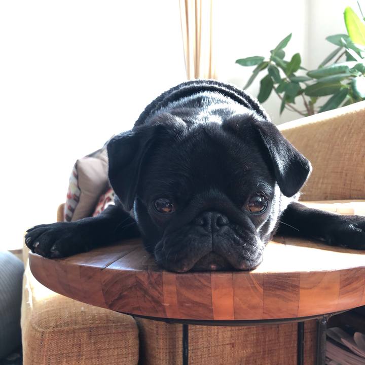 0ce4f73f 188b 4cd5 bae3 338a049c5c03 1612344909532