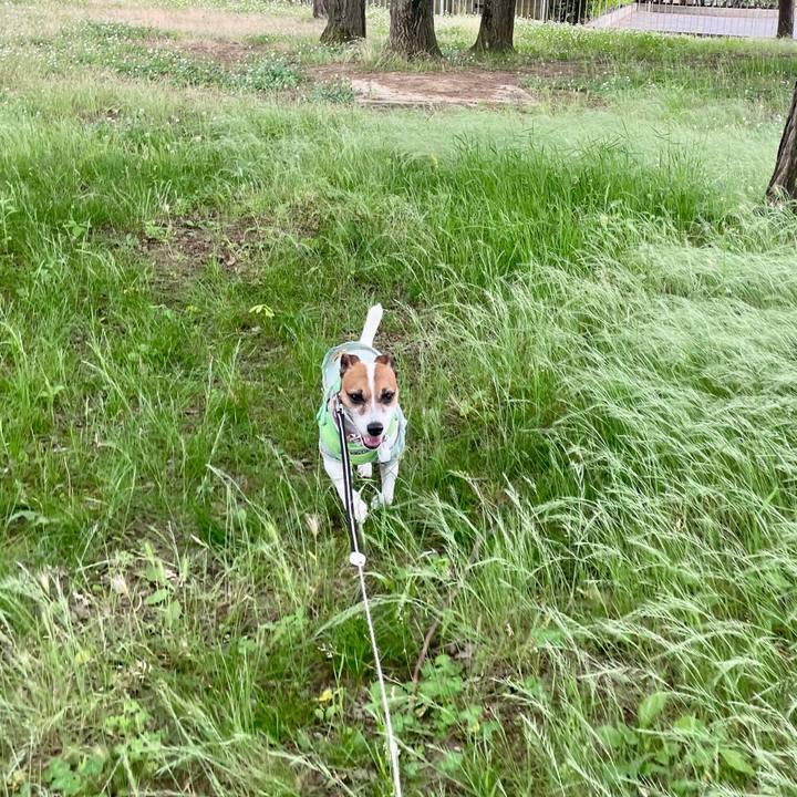 0ce50985 ed2c 47e2 bb11 870af66ad40b 1749458528416