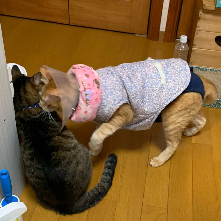 0ce50e5d 8f93 42d0 832b 4a5da8a52d37 1622639629378