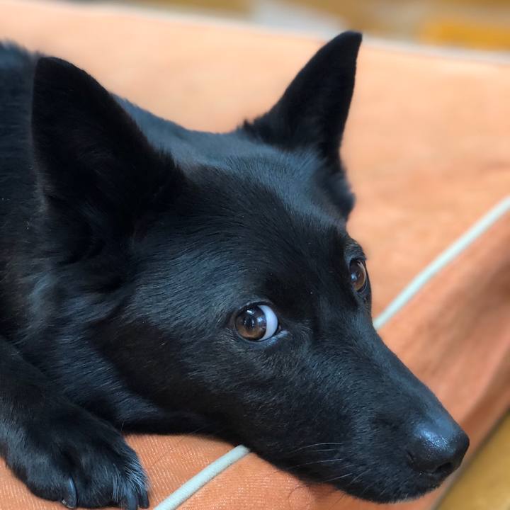 0ce52f1d d076 4623 b8b8 a25459ec8db0 1558236409626