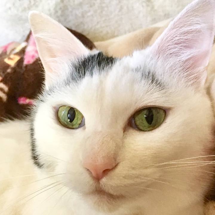 0ce541f5 ec75 4fc9 ba5a 9f7eb4d22faa 1559270885948