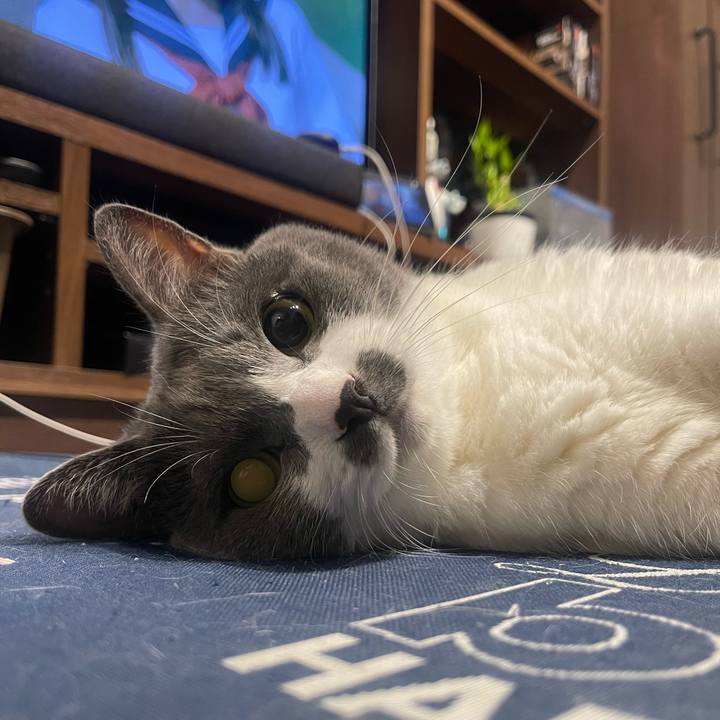 0ce55e5b 61de 437b 9a59 d2eea6fc8bd7 1726589991802