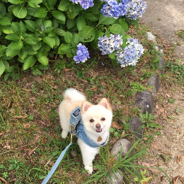 0ce573ac 8835 4b7f aa26 df162b082c75 1593751301875