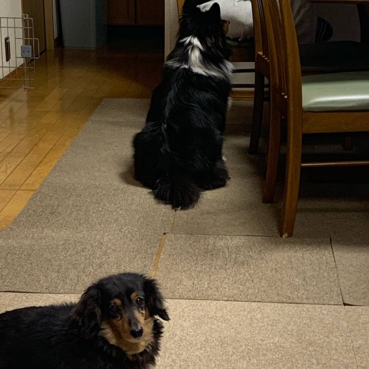 0ce5f8df d3a5 4370 afbe 04a8421be43c 1579643632613