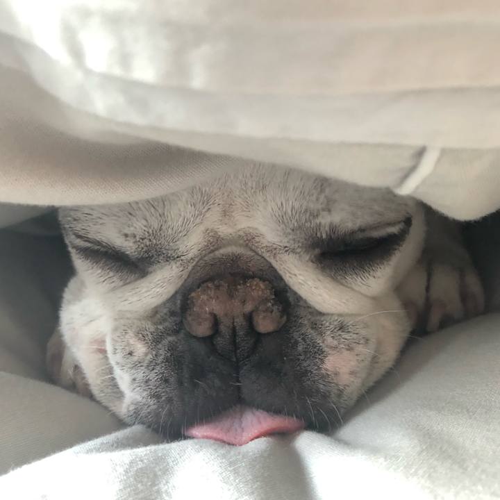 0ce5fe9c 58f6 410e 926b 4c0975a2bf18 1652849481345