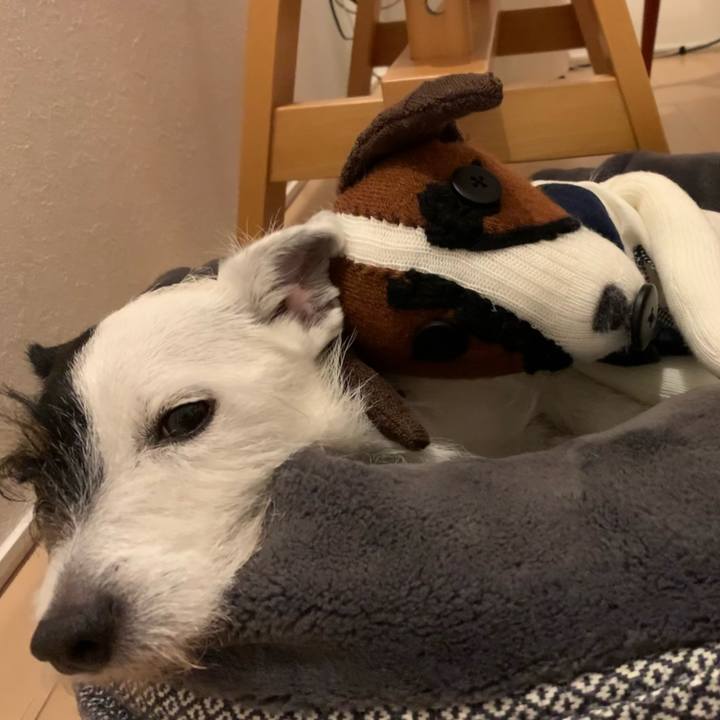 0ce600b0 2796 4631 b4fc f7823232af3e 1652272242148