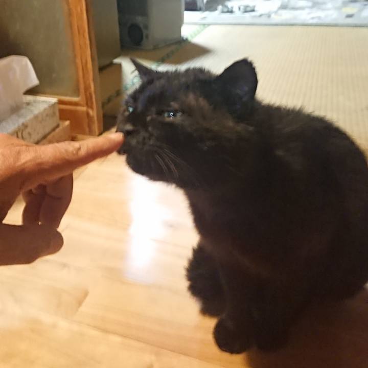 0ce61a95 dada 4c9d 9ab9 ba38f42aa61e 1621682774209