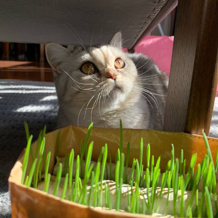 0ce65ee4 d638 46f4 8972 df24c8b5bd37 1710026996776