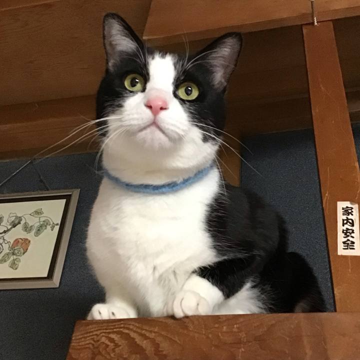 0ce660cc 417a 4351 ab0a f8720f6d61ea 1740568284680