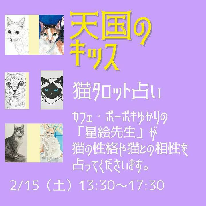 0ce674e1 9260 4168 bcae f1c515457200 1581238957639