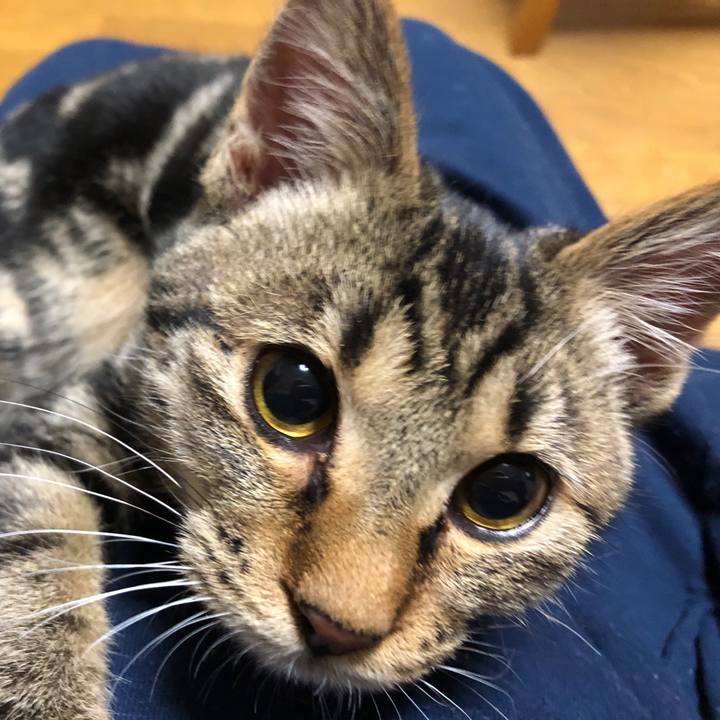 0ce67f37 0b8a 490a baa1 48bb5eee8206 1733572067348