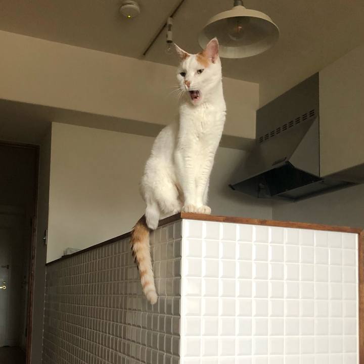 0ce6d53e 7b2d 4a96 953a 3120888dc39a 1656841484547