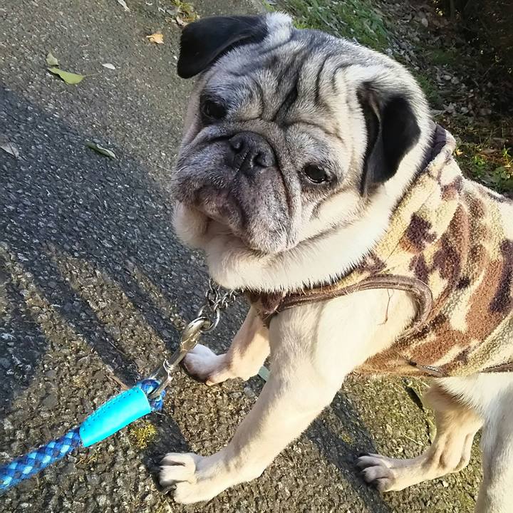 0ce6e0c7 170c 41b2 b1fe 25dc2d7f9436 1539305961838