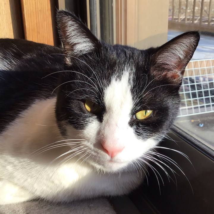 0ce7153d 268d 402e 9bbd 4f9ba8330324 1675591108842