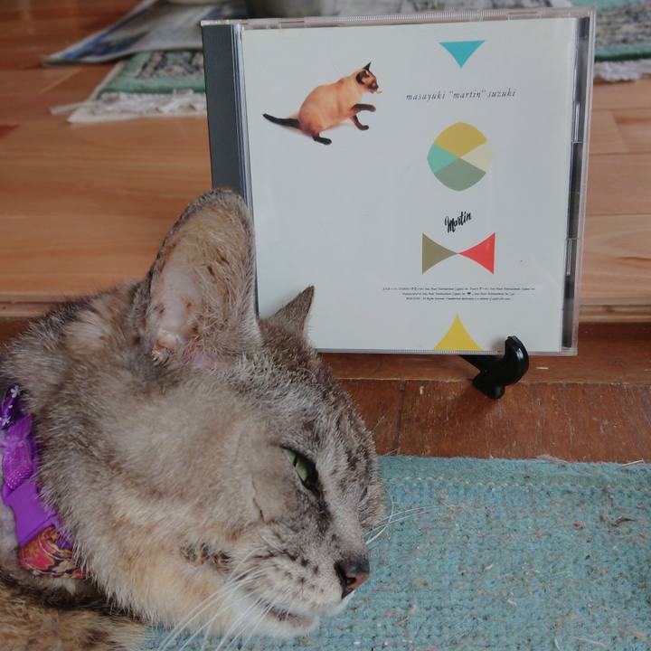 0ce71d8c 9c7e 4647 ab33 709f992feac2 1598079490348