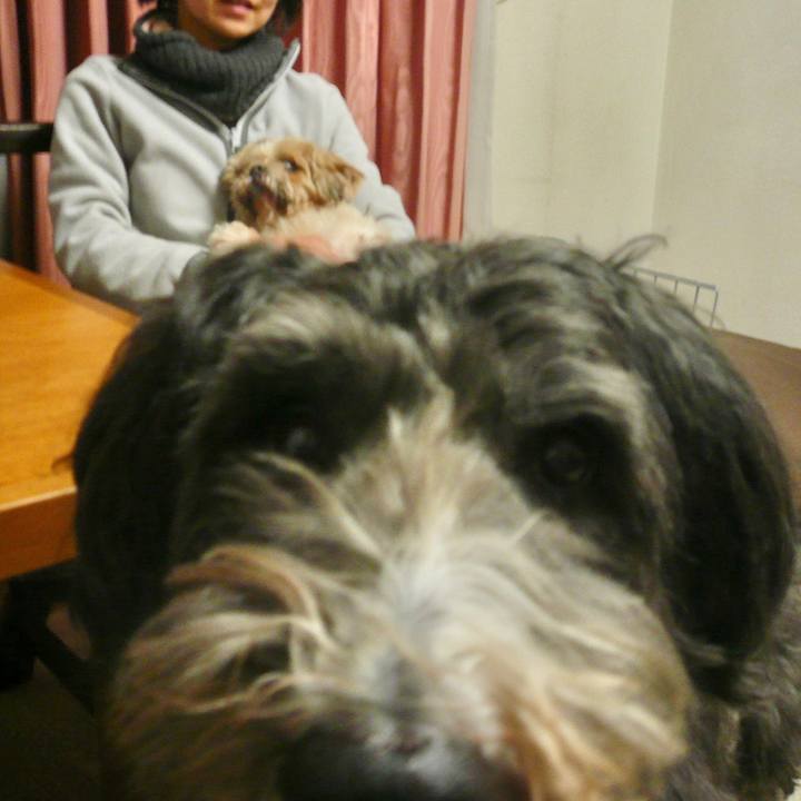 0ce72073 51d4 4d31 81bf f6c50a1a0284 1640252166833