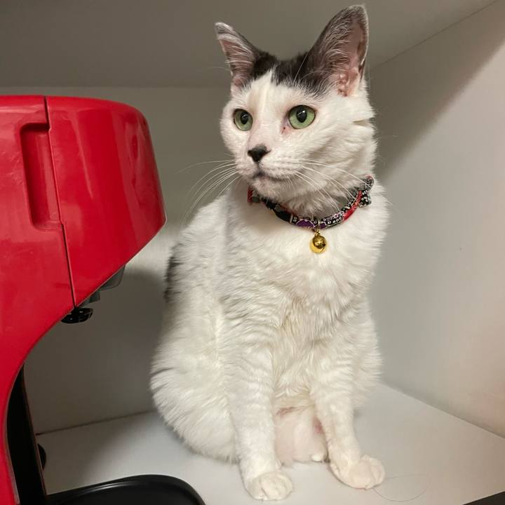 0ce7255e b83e 4104 908d 6d62a5de9910 1687963451820