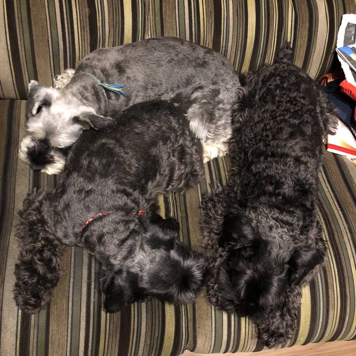 0ce75958 d332 462a 9caf 31a625d5fb20 1531479391431