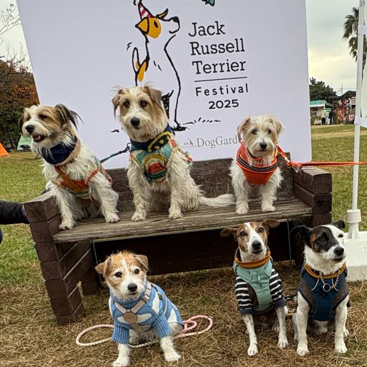 0ce7b380 fd2b 4c18 bedf c81746e2e655 1763895046418