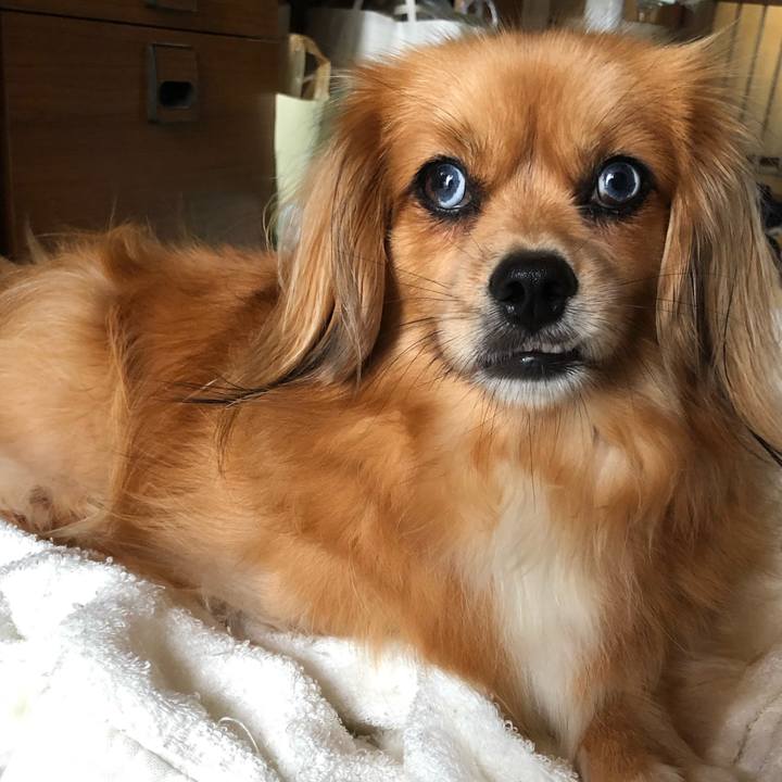 0ce7d949 cc23 4531 b214 b70602494f76 1565055873886