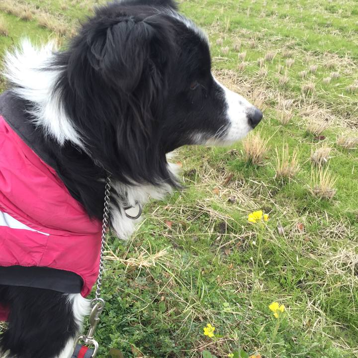 0ce7fff9 e34f 4902 930a f339a251a3b4 1546131668112