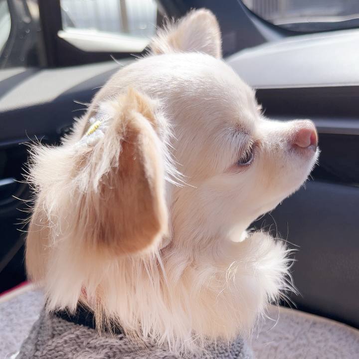 0ce80b5b 87ee 4f9d 93cc 656649908f73 1739684089919