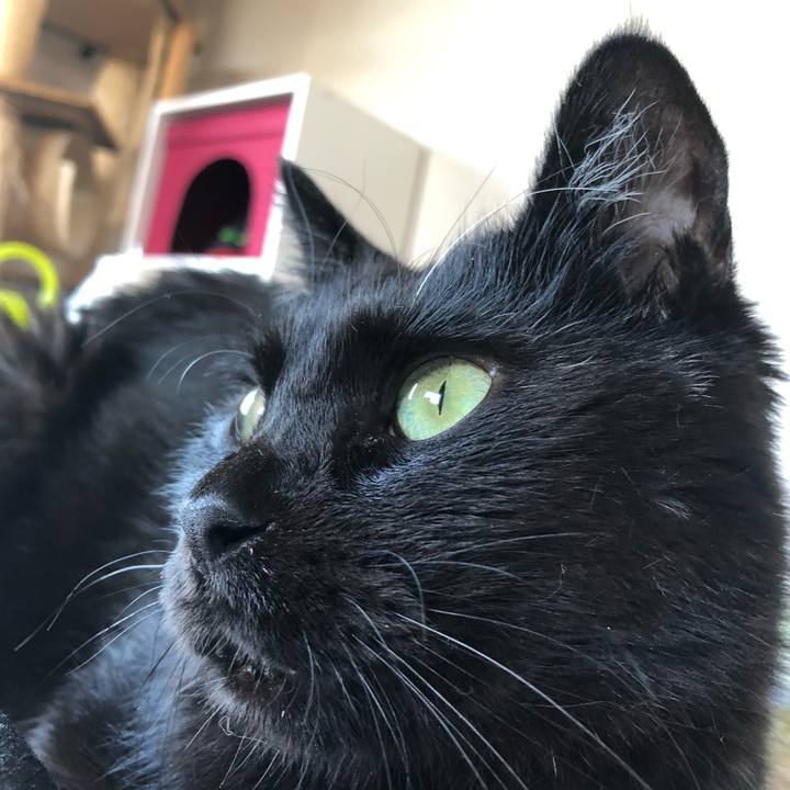 0ce841db 465f 4050 9078 0a48d5ce810d 1595061413310