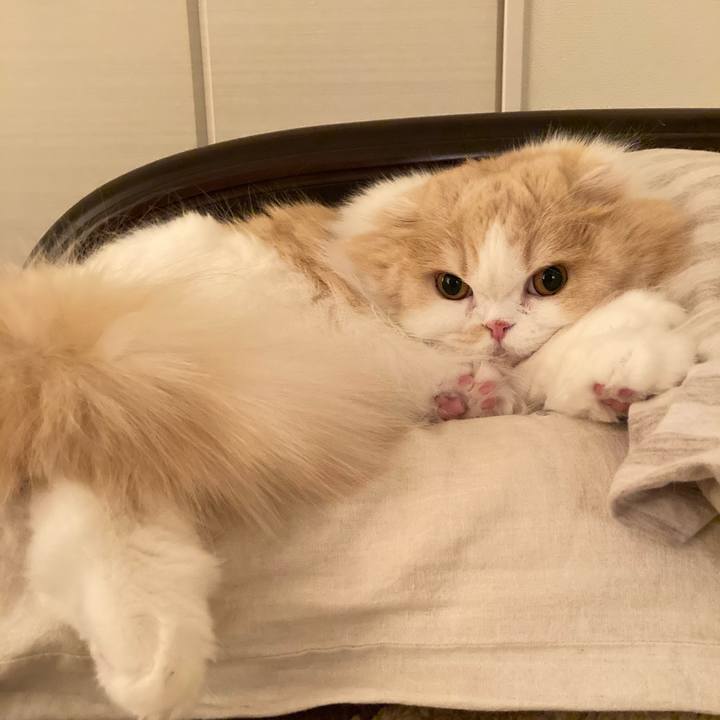 0ce85bec 69be 47c8 bd7a 633abe854d6a 1609076667043