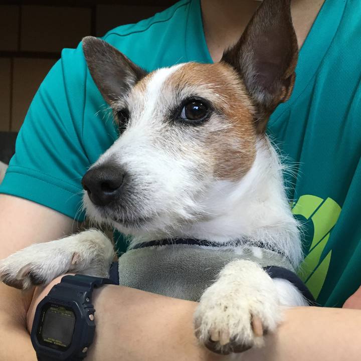 0ce86274 ef4d 42fa 9e86 f387ef629f4a 1646090889113