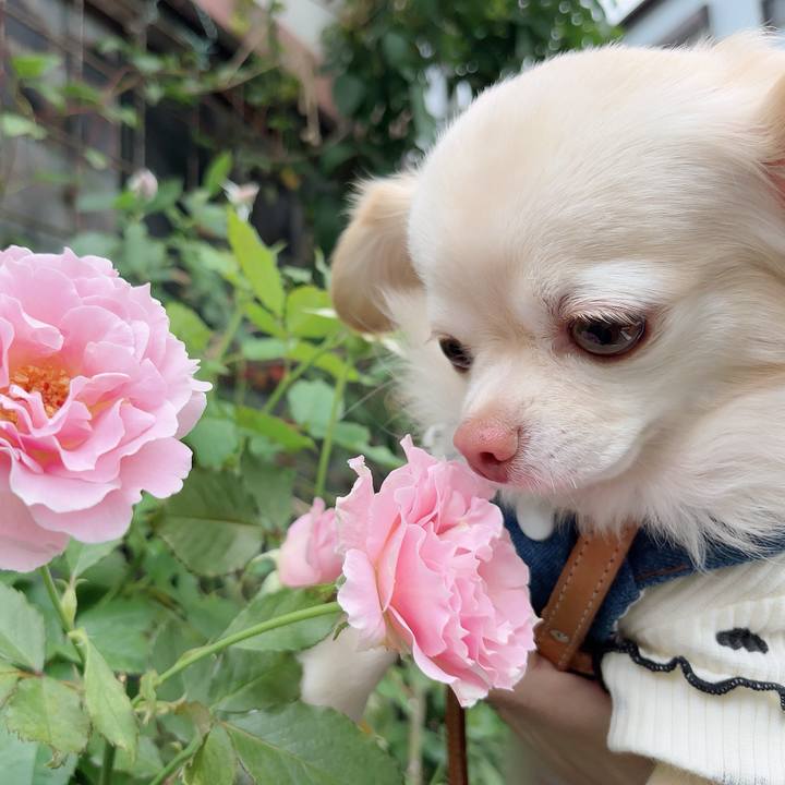 0ce89133 c292 499e bfd3 4b688eb11cc6 1729514545682