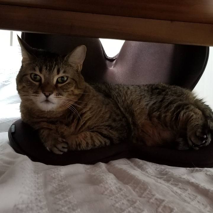 0ce8ac64 4e8c 49ea 9c65 aab58fee08e7 1611668160269