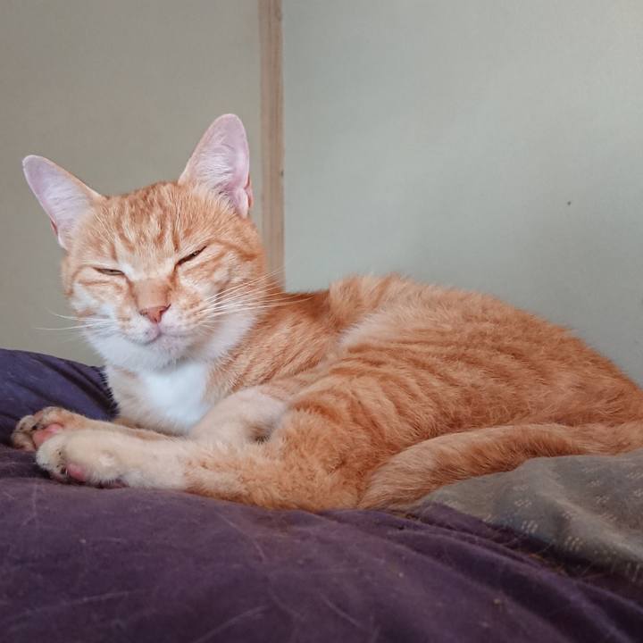 0ce8e97a dd4b 4bd8 b75f 7333d8b513b3 1592431108379