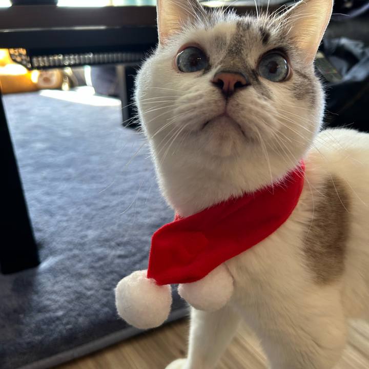 0ce8ee68 1ff5 40e4 9b01 c3b7c901593e 1735007707045