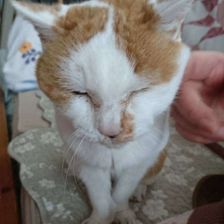 0ce8feeb 3a03 49f9 b177 081fb28bef59 1557750986770