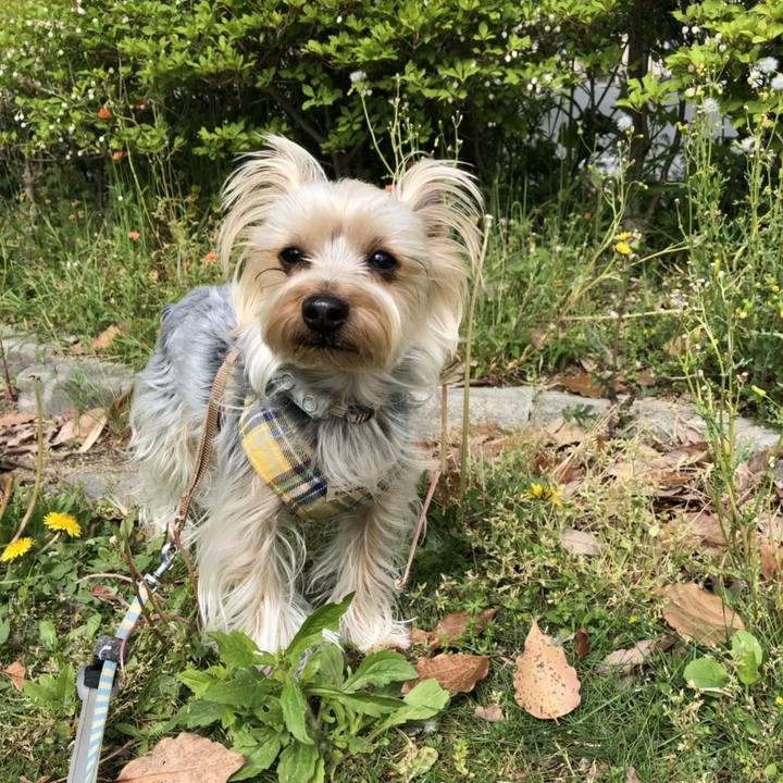 0ce90300 8f66 4072 9622 94d43fe08cb0 1523964980413