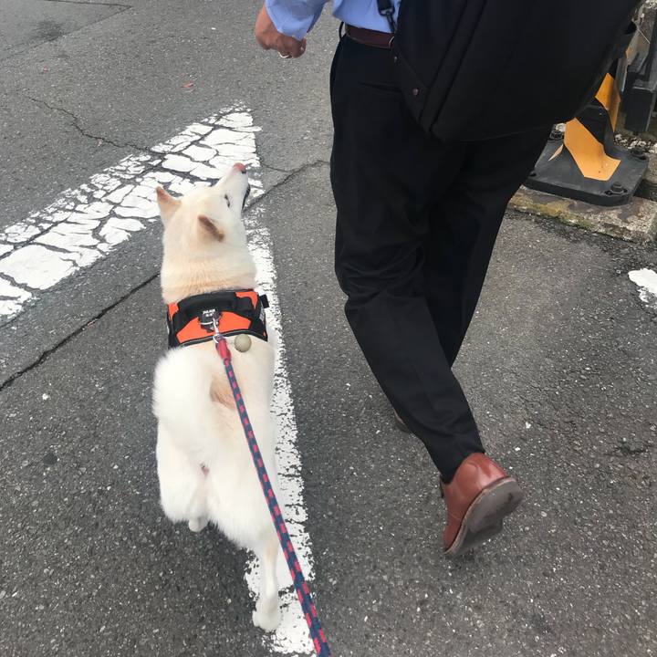 0ce92d7a ba76 4e42 bebe 1837743698e6 1527725035159