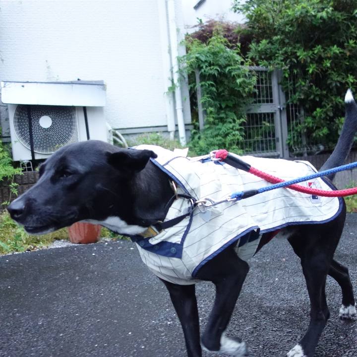 0ce93290 c316 4692 b570 ca0e2bc46357 1592562628075