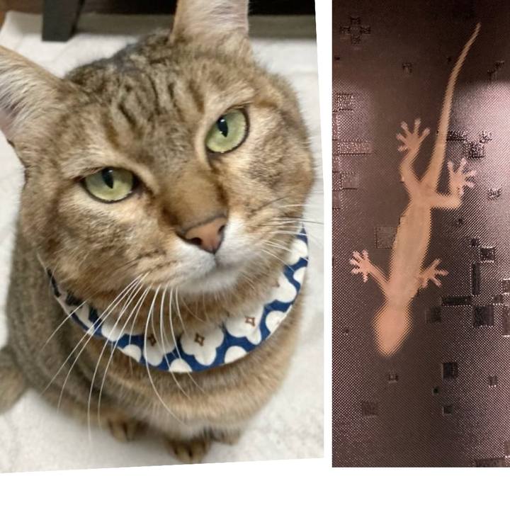 0cea2c93 376e 4d41 8a41 35bc889e1d32 1758201948682