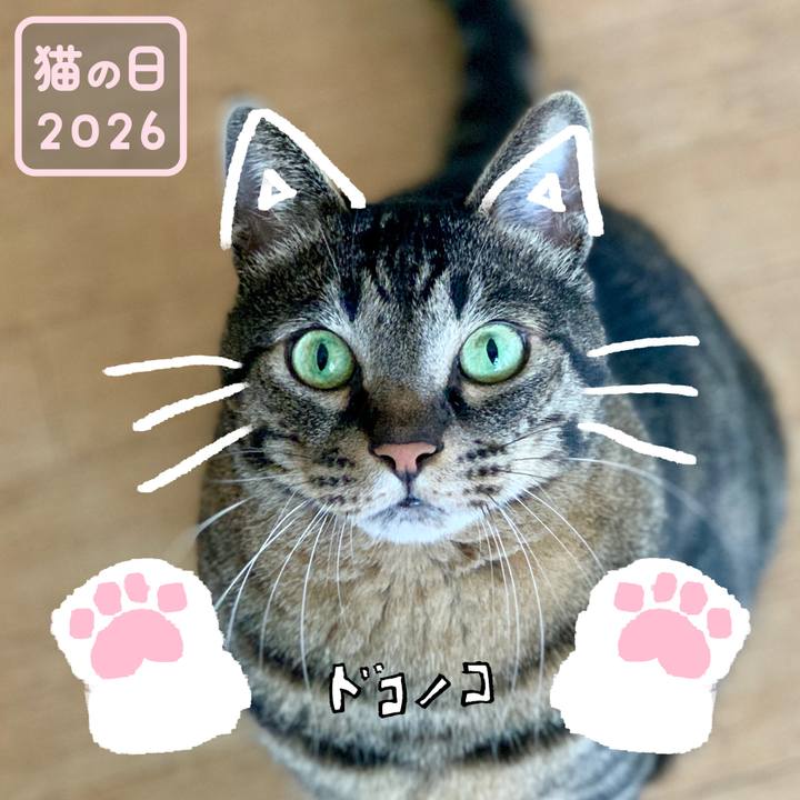 0cea6da9 a7a4 4f13 9618 9c751d987bc1 1771737449719