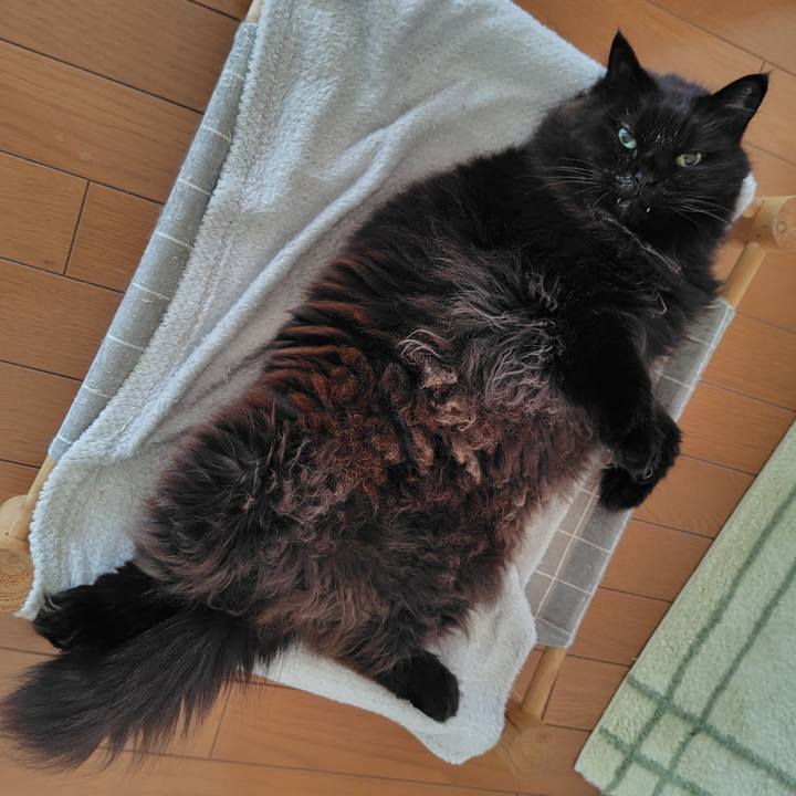 0cea6ef9 1fce 4fe0 8c3d 15a57134fb0f 1745708632116