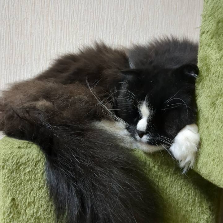 0cead038 bf8c 40f1 914c 1aebbd679e45 1684711413822