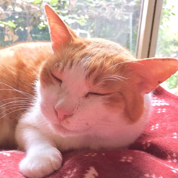 0ceb0ecb bfb2 4dbf 9efe e5213d501aaf 1566876202745