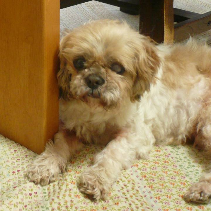 0ceb2412 5425 45bd 84dd 3d2a8b950d7e 1523102007277