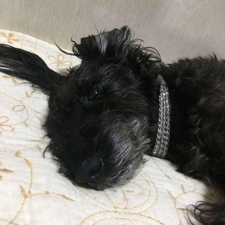 0ceb2705 05ca 41ab bb13 5288550876ab 1509251953183