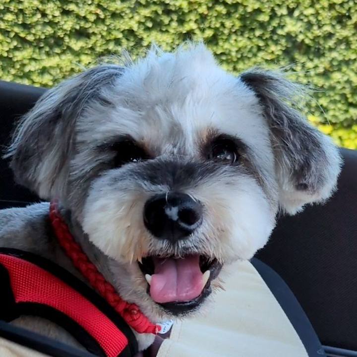 0ceb9fa0 9b8a 4bcf 95b8 8cf8f8981c50 1755581975216