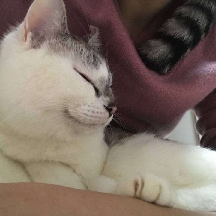 0cec274c e393 4338 bd72 c603cfbef8b1 1516510965054