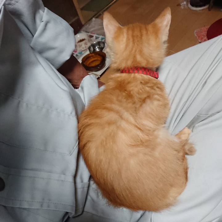 0cecc4fe b650 4548 bb45 3cb6ea197222 1630658687702