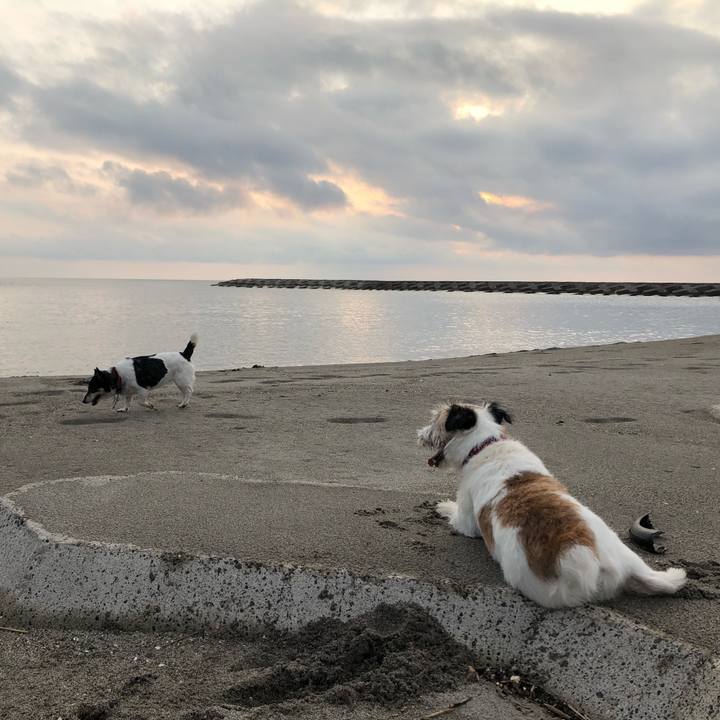 0cece23f e9aa 4809 9181 9faddbb572a3 1566294190844